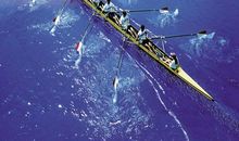 形容团队力量的句子