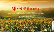 写高粱的比喻句