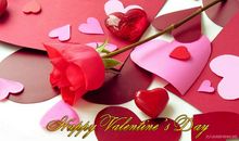 写情人节的句子