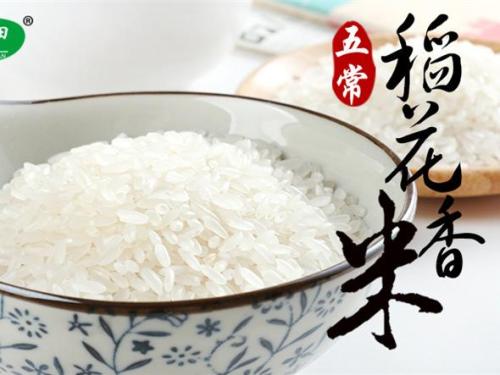 稻米口号