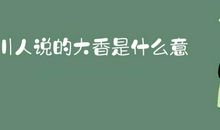 筛子挡太阳歇后语