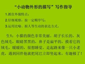 描绘小动物的片段