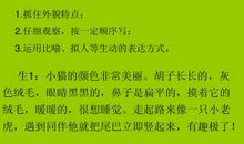 描写小动物的片段