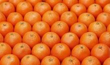 关于橘子的比喻句