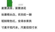 关于疾病防治类的谚语大全