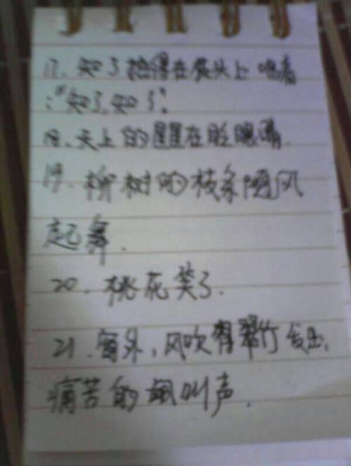 蜘蛛写拟人化的句子