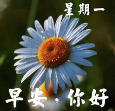 早上的祝福