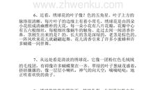 描写书籍的排比句