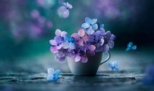 朋友圈睡前晚安说说