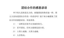 团给合作的谚语