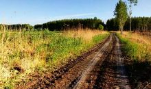 关于种庄稼的谚语