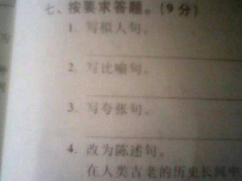 月季