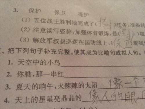 小甲虫拟人化句子