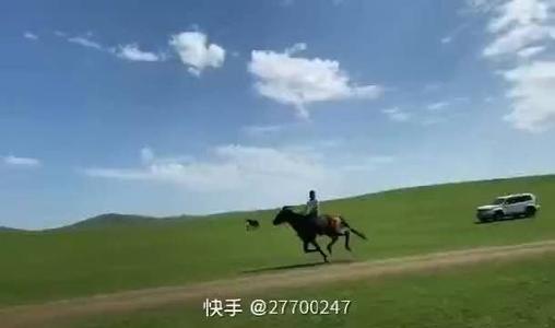 尽力而为