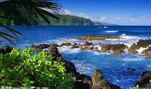 赞美自然景物的诗句