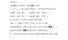 形容闪电比喻句