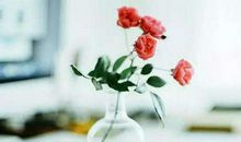 管理好心态，才能拥抱明天