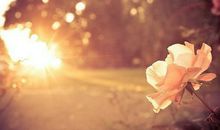 人生感悟的句子简短的图片:热爱生活的人,生活也爱他