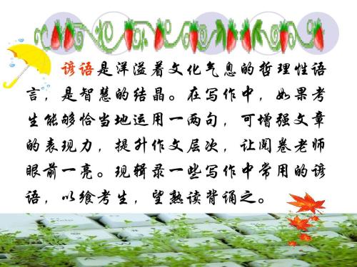 对称谚语