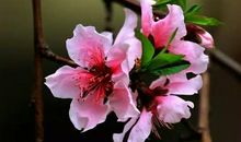 让人保重身体的话