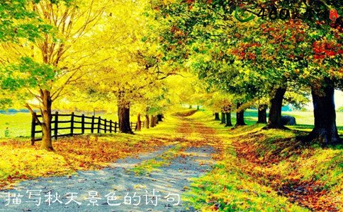 秋天风景的寓言