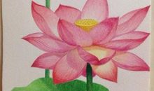 描写荷叶荷花的句子