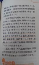 柳絮的拟人化句子