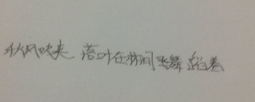 关于枯叶的寓言