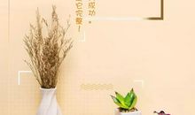 不能半途而废的谚语