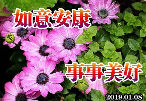 周二消息祝福