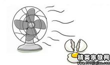 和鸡有关的谚语