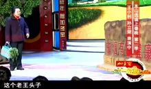 小品搞笑句子大全