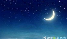 形容松树的比喻句