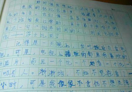 我最喜欢的谚语之一