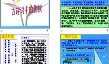 关于自然界的气象谚语