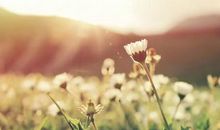 春天的排比比喻句