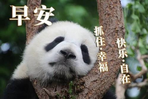 二月的祝福