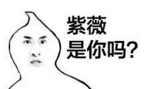 搞笑逗比的句子说说