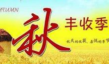 描写秋天短句子