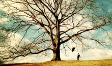 易中天最洗脑的十句话