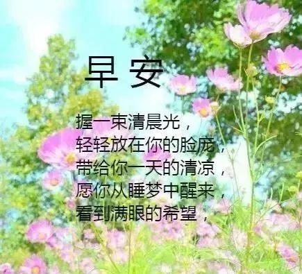 简单而冷暖的心句
