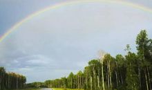 关于彩虹的比喻句