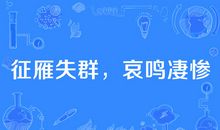 关于大雁的谚语