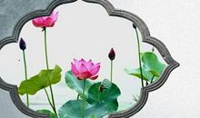 节气与民俗谚语