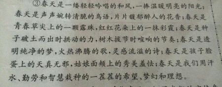 50个单词的平行句子