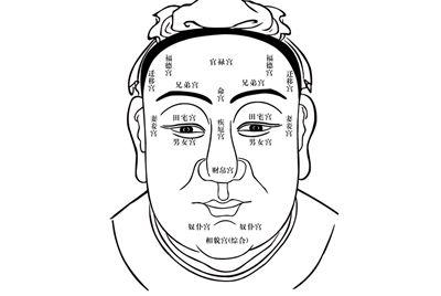 面对谚语