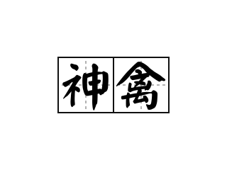 鸟在句子