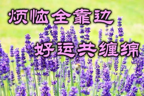 关于爱的美好祝福