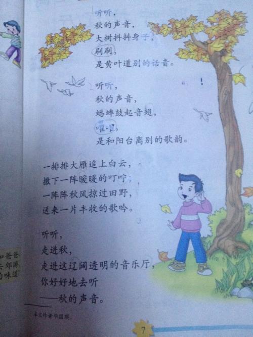 小学隐喻积累