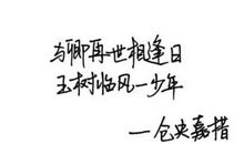 抖音里最酷的句子